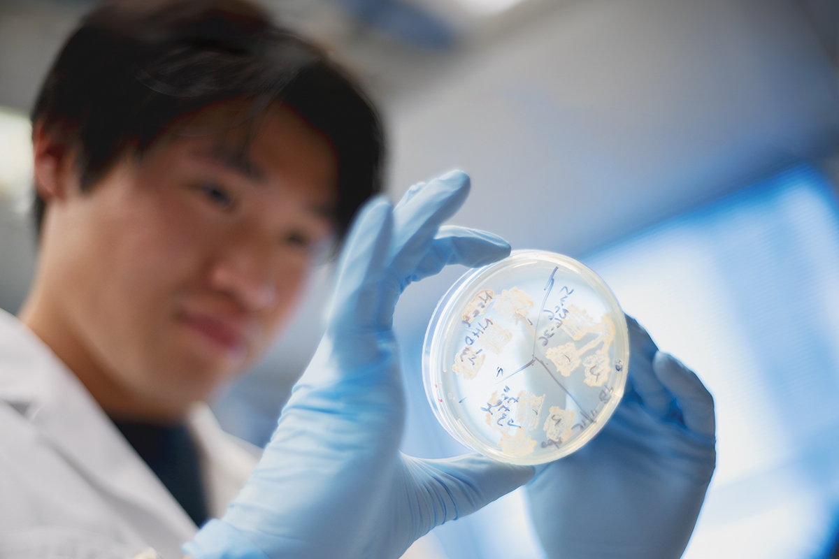 Graduate student Jian Zheng in the lab of molecular biologist Xiaolan Zhao, PhD, at the Sloan Kettering Institute 