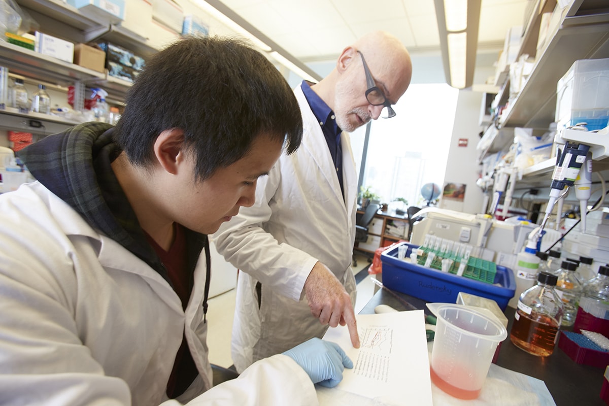 The Center for Cancer Systems Immunology brings together faculty from across the Sloan Kettering Institute, such as Alexander Rudensky (left) and Christina Leslie (right).