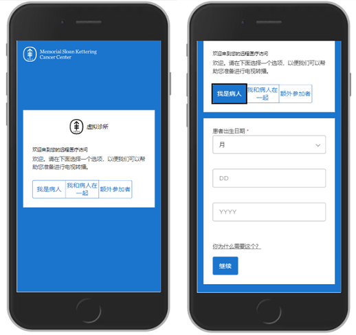 图 9. 点击 “I am the patient”（我是患者），输入您的姓名和出生日期